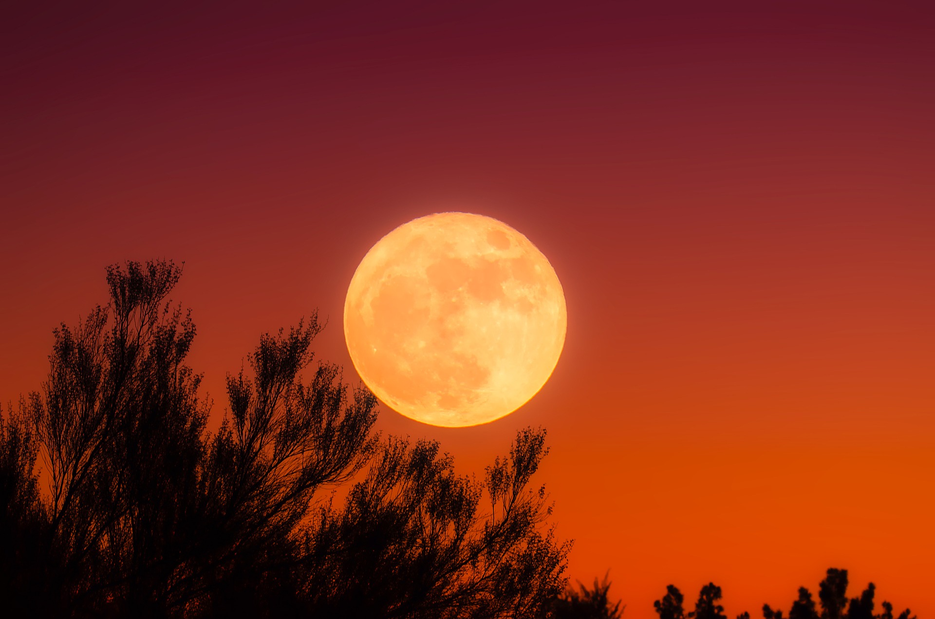 LA LUNA PIENA, UN PIENO DI ENERGIA